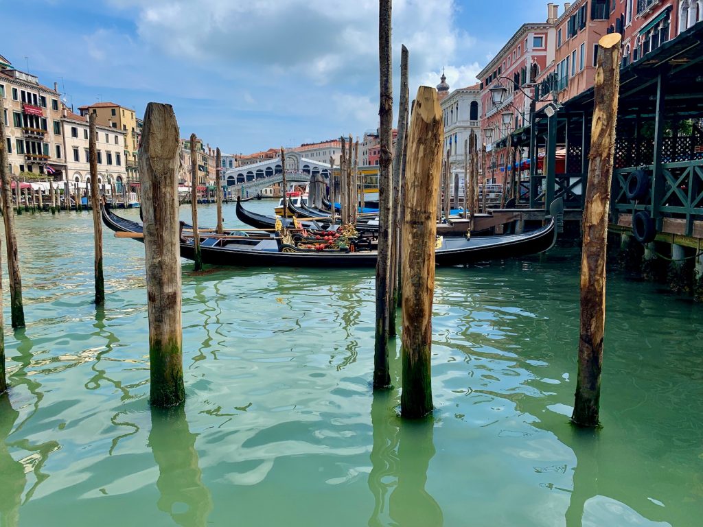 Gondolas on the Grand Canal with Rialto Bridge in background, Venice, Italy